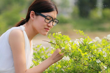 黑暗圣经动漫1-6全集在线观看